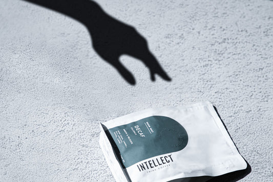 COFFEE BREWING 101: UNDERSTANDING THE MOST POPULAR BREWING METHODS