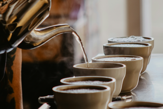 Coffee by Raja - Coffee Systems Part 2